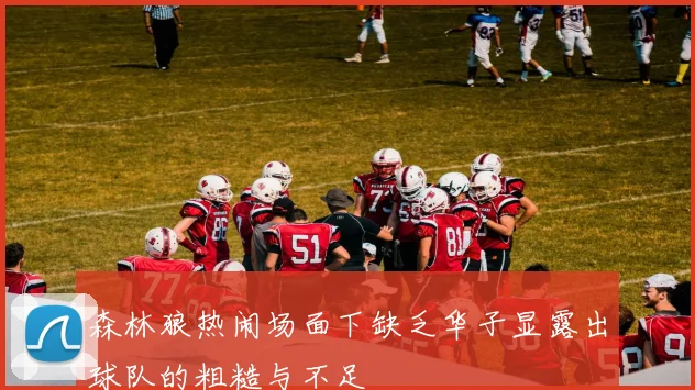 森林狼热闹场面下缺乏华子显露出球队的粗糙与不足