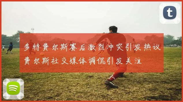 多特费尔斯赛后激烈冲突引发热议费尔斯社交媒体调侃引发关注