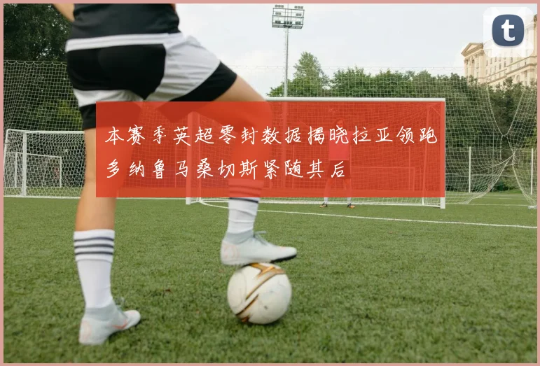 本赛季英超零封数据揭晓拉亚领跑多纳鲁马桑切斯紧随其后